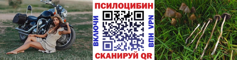 omg ссылка  Щучье  Псилоцибиновые грибы ЛСД  где найти наркотики 